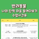 나의 단짝 반려동물 이미지