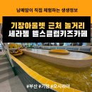 세라젬 울산삼산점 | 키즈카페 도장깨기! 울산 근교 기장 키즈카페 세라젬 웰스클럽 키즈카페 내돈내산 후기(부산 아이와...