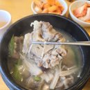 한촌설렁탕오산세교점 | [경기/오산] 한촌설렁탕오산세교점 꼬리곰탕으로 몸보신하고 왔어요