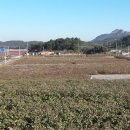목화축산