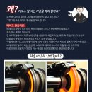 디자인자동차용품