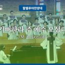 기뻐하라 주 예수 오셨다 / 주의 자녀 일어나라 (Mary McDonald) [대구 평강교회] 이미지