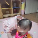 (주)더헤본 이미지
