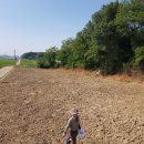 김포 자연 농장 이미지