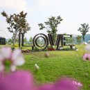 한강시민공원(화훼단지) 이미지