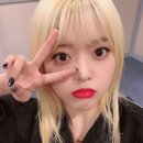 수연안전