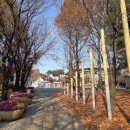 안정순환로267번길 | 평택 신장근린공원 무료주차안내