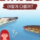 당머리첫집