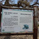 한재초교석불상 이미지