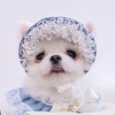 그노하우스