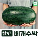 하나로축산함안점 | 쿠팡 고당도 함안 베개수박 상품 리뷰
