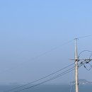 대천올레펜션 이미지