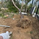 푸른 태양광 발전소 이미지