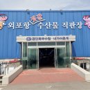 인천 강화도 여행 외포항 젓갈 수산물 직판장 어시장 후기