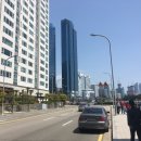 현대카멜리아,오뜨 이미지