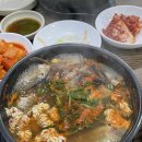 팔도강산 동태찜 이미지