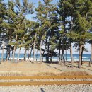 등명해변(철길옆) 이미지