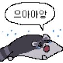 디오 동물병원 이미지