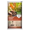 야자수정원 이미지