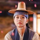 꽃달술 마이데일리