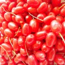 복흥농장 이미지