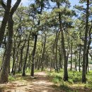 송석리경로당 이미지