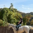 덕소 승마클럽 이미지