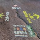 대관령한우타운 이미지