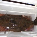 수원-0364 이미지