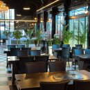 진세이로무시 이미지