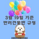전원말안길 19 | 반려견동반 식당 애견동반 카페 규정 변경 (2026년 3월 19일 이후) | 말티즈 리치 견생정보통 같이가개
