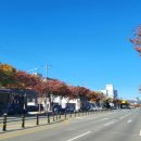 금창주유소 이미지