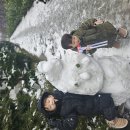 희태네