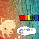 강아지의 하루 이미지