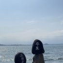 소현투어
