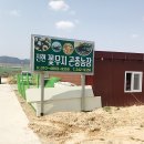 진현농장 이미지