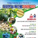 여수참기름