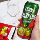 (주)테라앤 | 테라 토마토 맥주 후기｜가격·맛·판매처·편의점 파는곳
