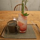 버드네 애견 이미지