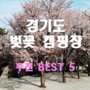 안성남사당공연장 | 경기도 벚꽃 캠핑 추천 봄맞이 캠핑 명소 5곳