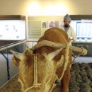 영산강식당 이미지