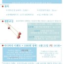 채담이네 이미지