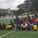 제주대학교교육대학 부설초등학교 이미지