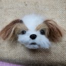 펠트 이미지
