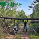 평창강로 이미지