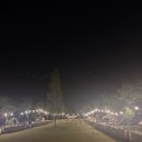 벨캠핑장 | 강아지랑 캠핑하기 최고였던 청도 벨 캠핑장 2박3일 후기🐶⛺️(강아지 운동장까지👍)