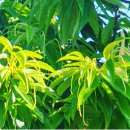 꼴짝농장 이미지