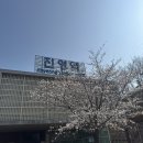 젊은유방암환자#3 드디어 입원이다!/ 수술 전 검사 / 유방암 부분절제/세브란스 2인실 후기