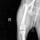 삼화 우수한 동물병원 이미지