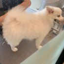 멍뷰티샵 이미지